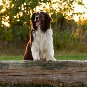 Meet your Posher, Ruth